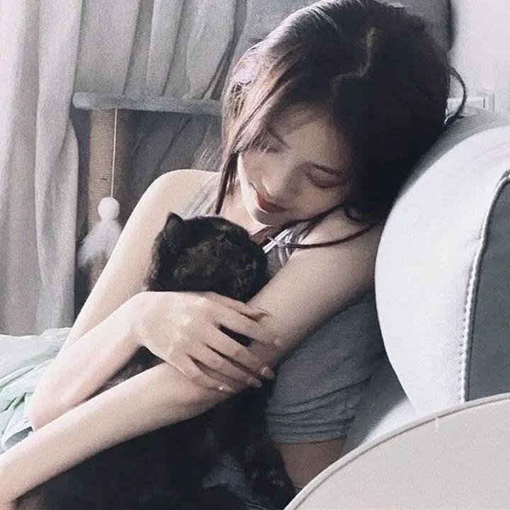 洛迪